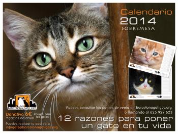 Puntos de venta calendarios gatunos solidarios Barcelona Gat i Gos