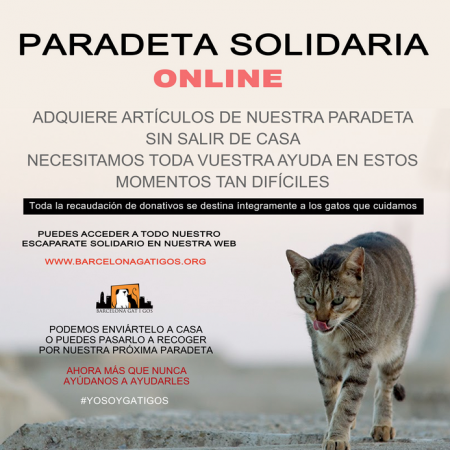 Paradeta Solidaria Online