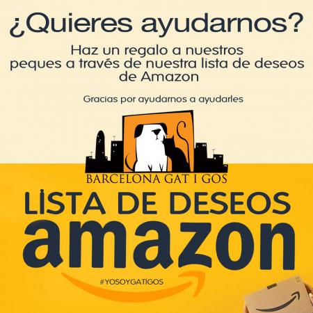 Lista de Deseos de Amazon