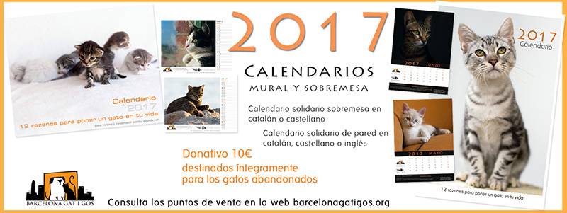 Puntos de venta del calendario gatuno para el 2017 de Barcelona gat i gos
