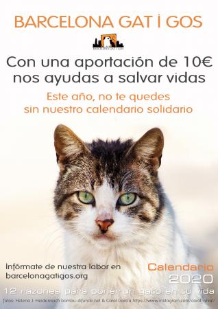 On adquirir el nostre calendari gatuno 2020 de Barcelona gat i gos