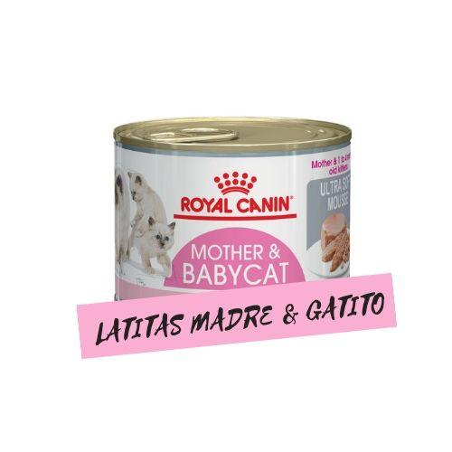 12 latas para gatitos y madres lactantes