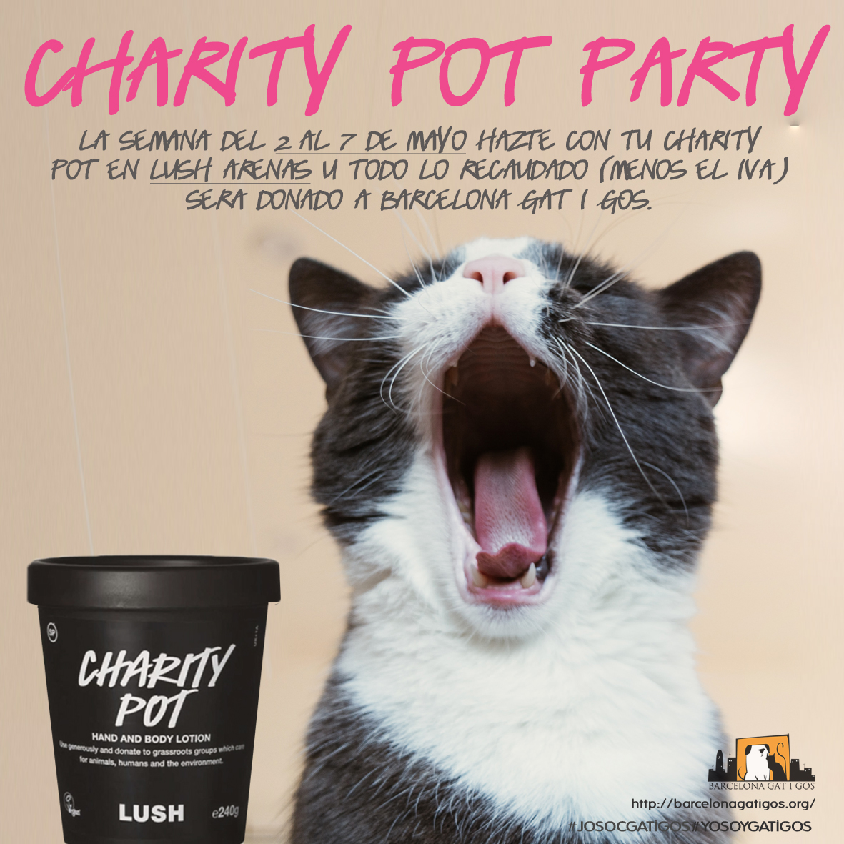 Charity pot party