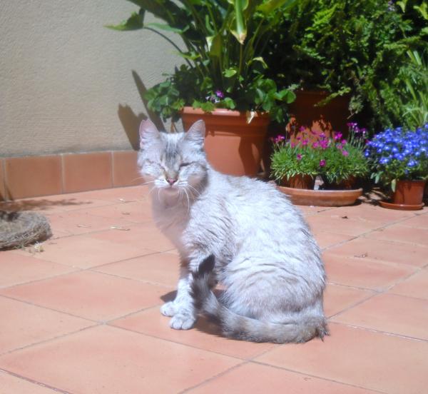 Clara 2 06 2013 013