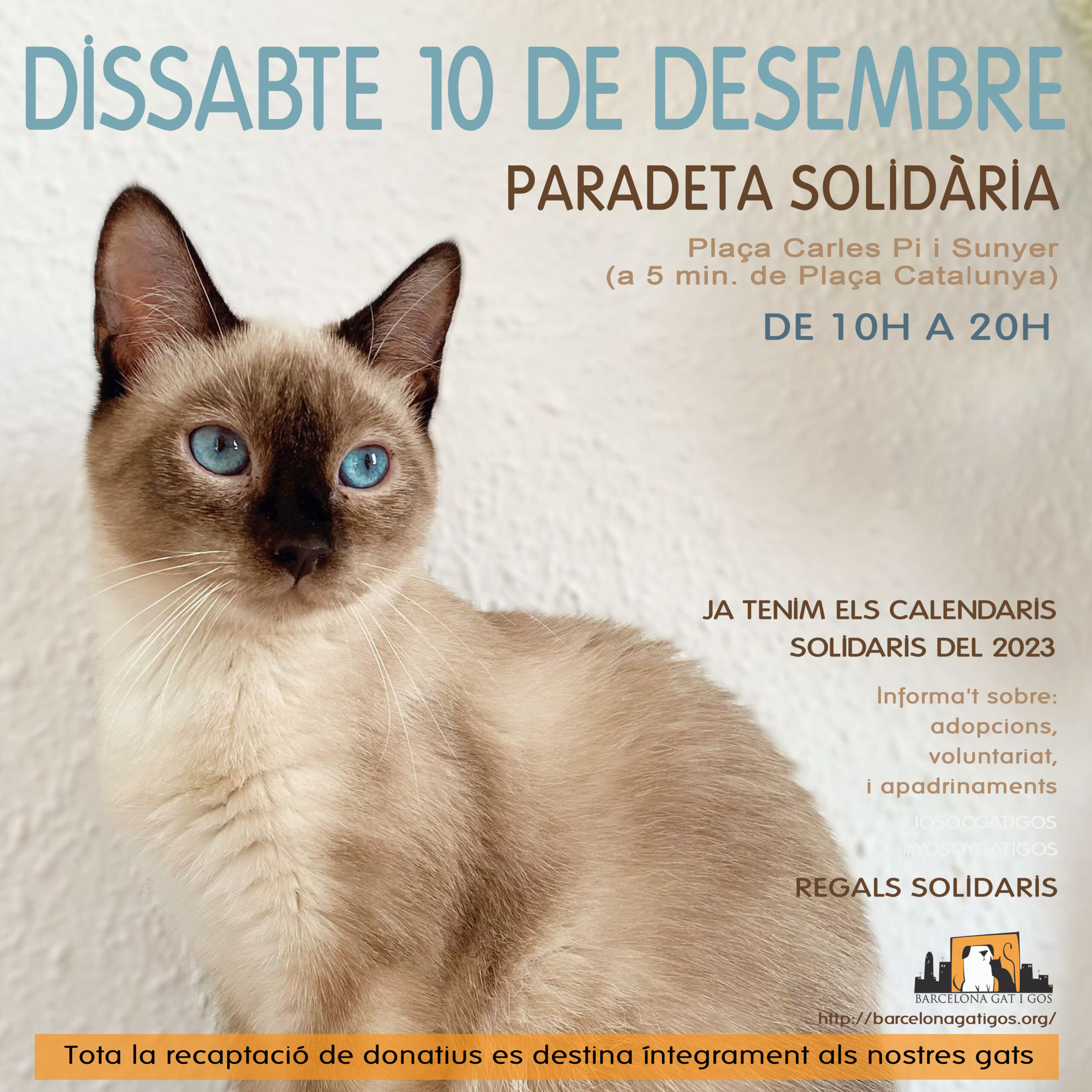 Paradeta 10 DESEMBRE 2022 scaled