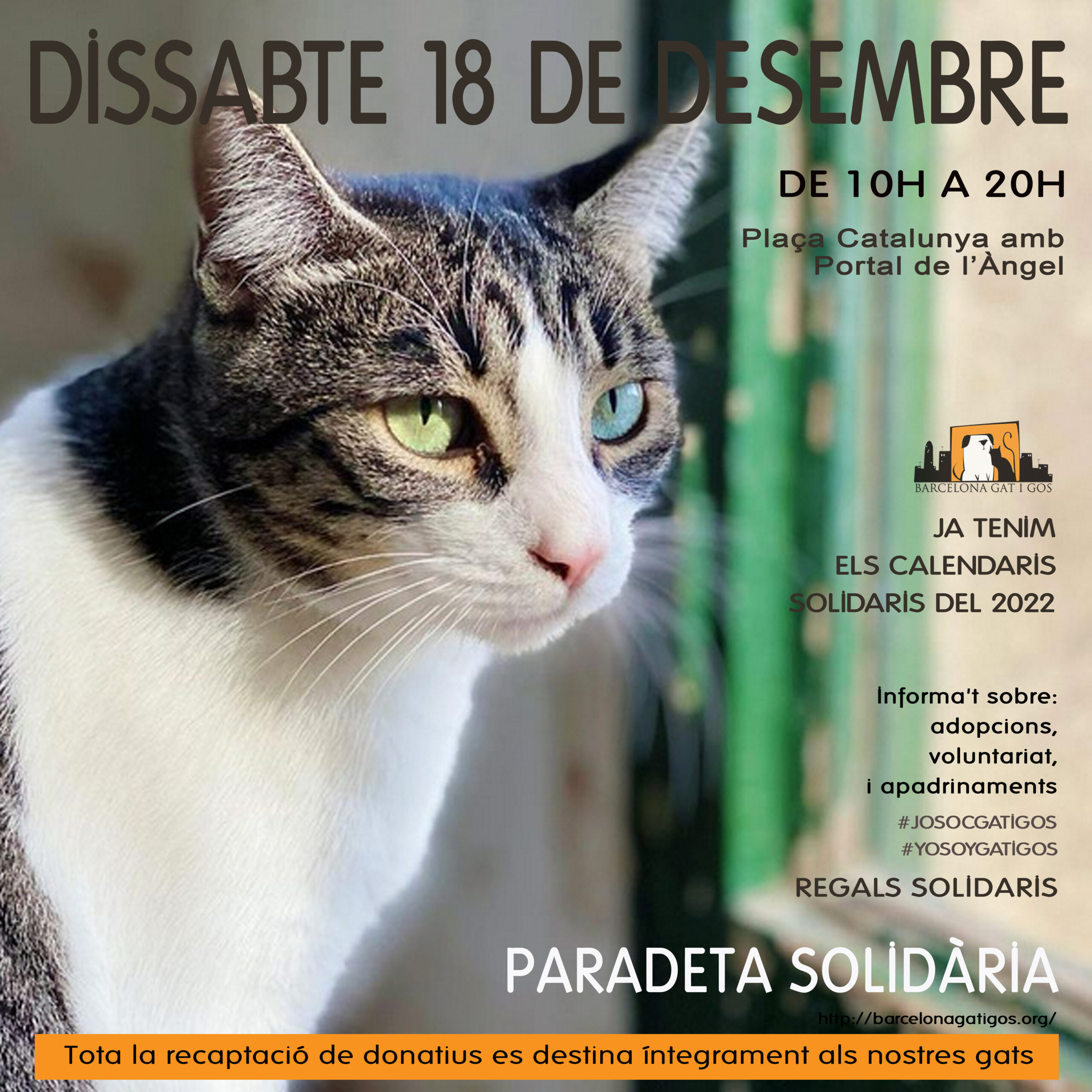 Paradeta 18 DICIEMBRE 2021 scaled