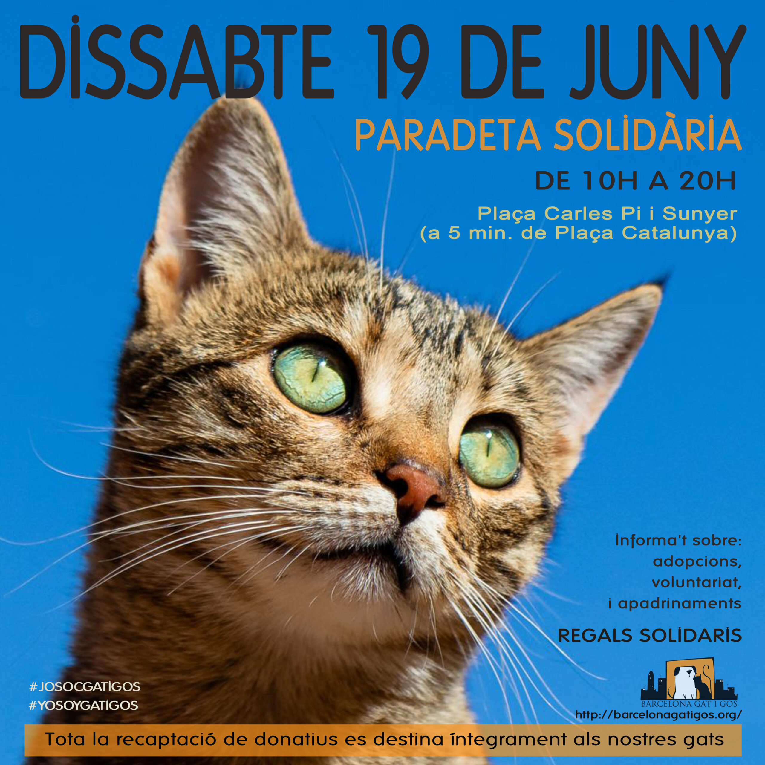 Paradeta 19 junio 2021 scaled