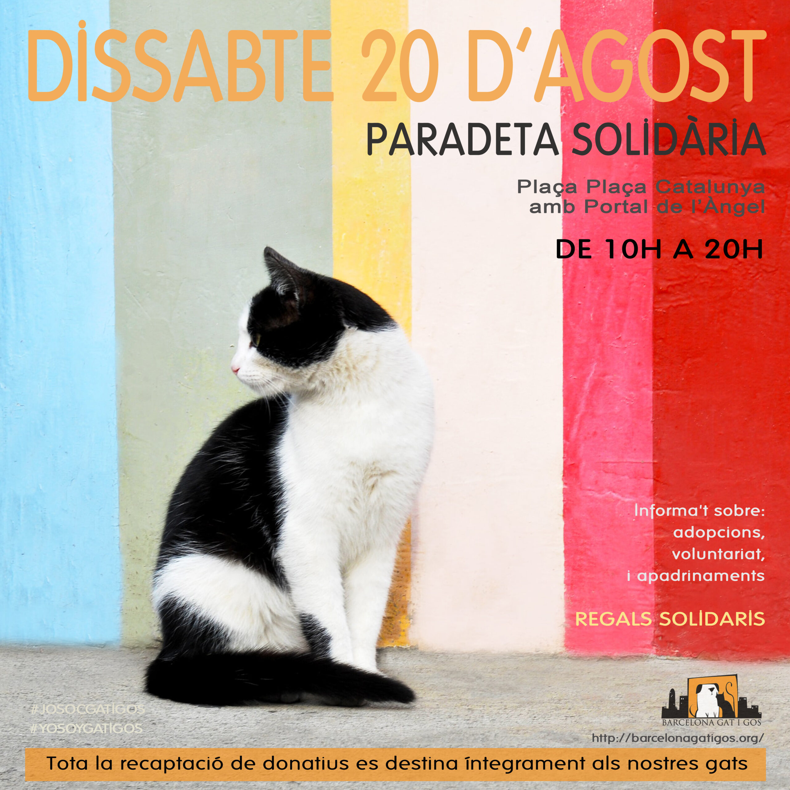 Paradeta 20 Agosto 2022 1 scaled