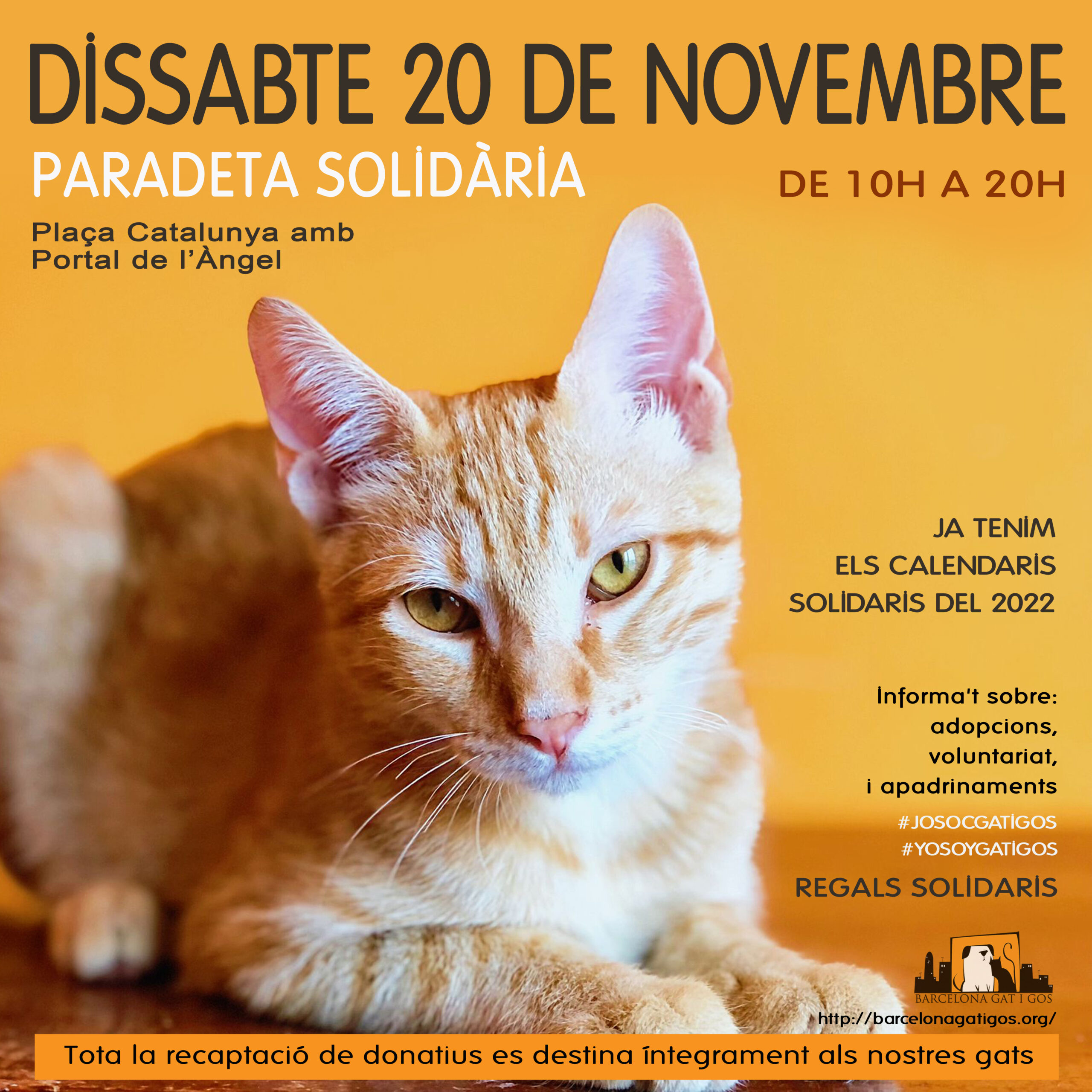 Paradeta 20 NOVEMBRE 2021 scaled