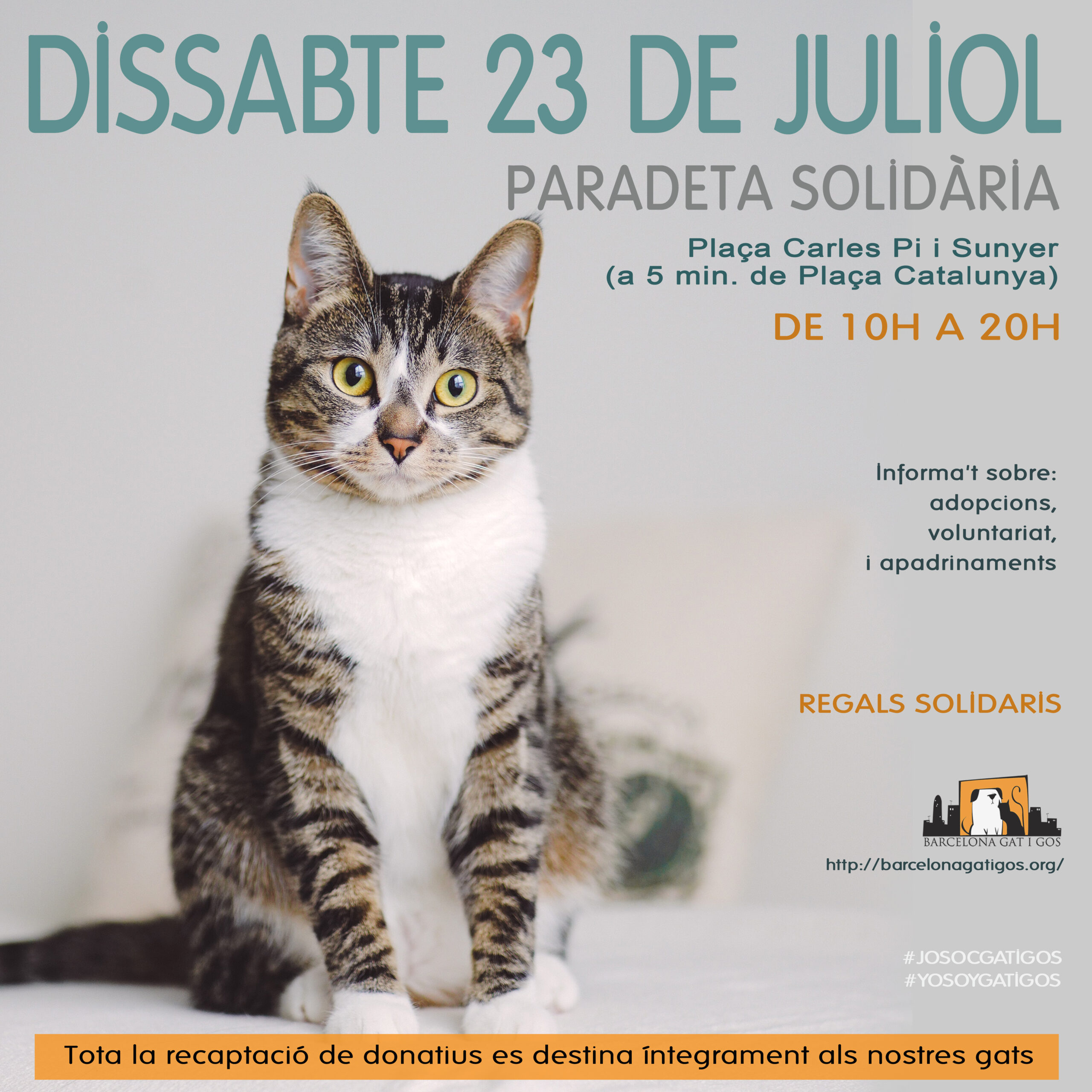 Paradeta 23 JULIOL 2022 scaled