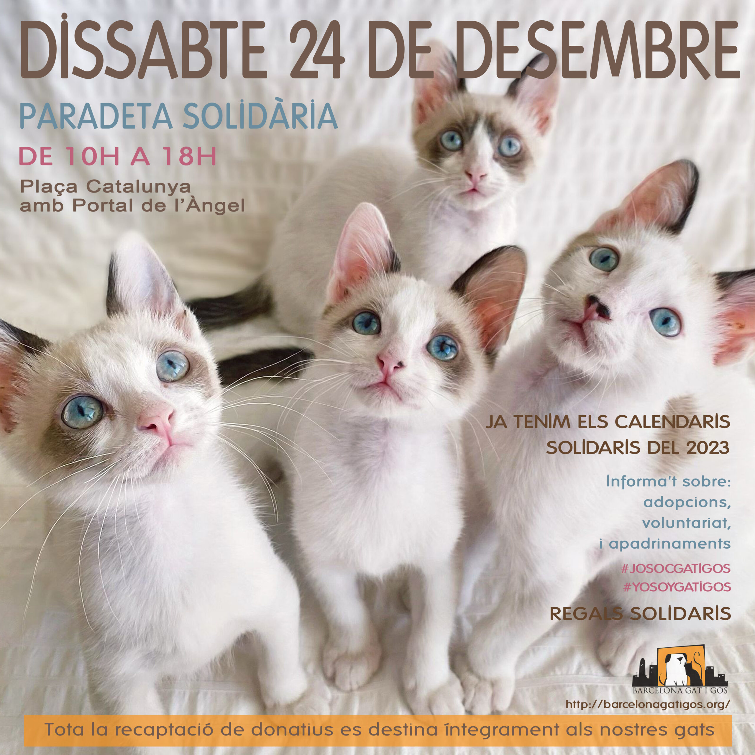 Paradeta 24 DESEMBRE 2022 scaled