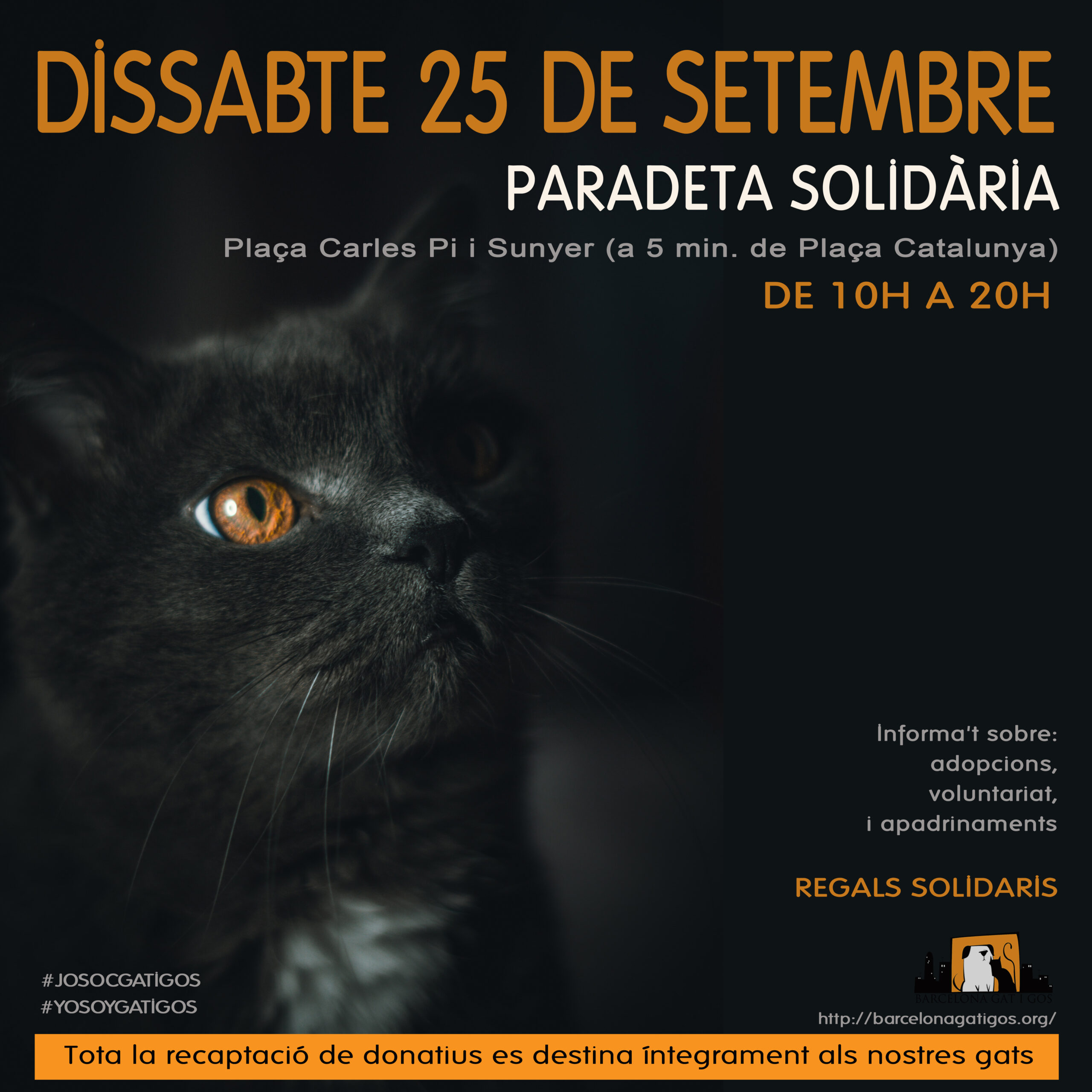 Paradeta 25 SEPTIEMBRE 2021 scaled