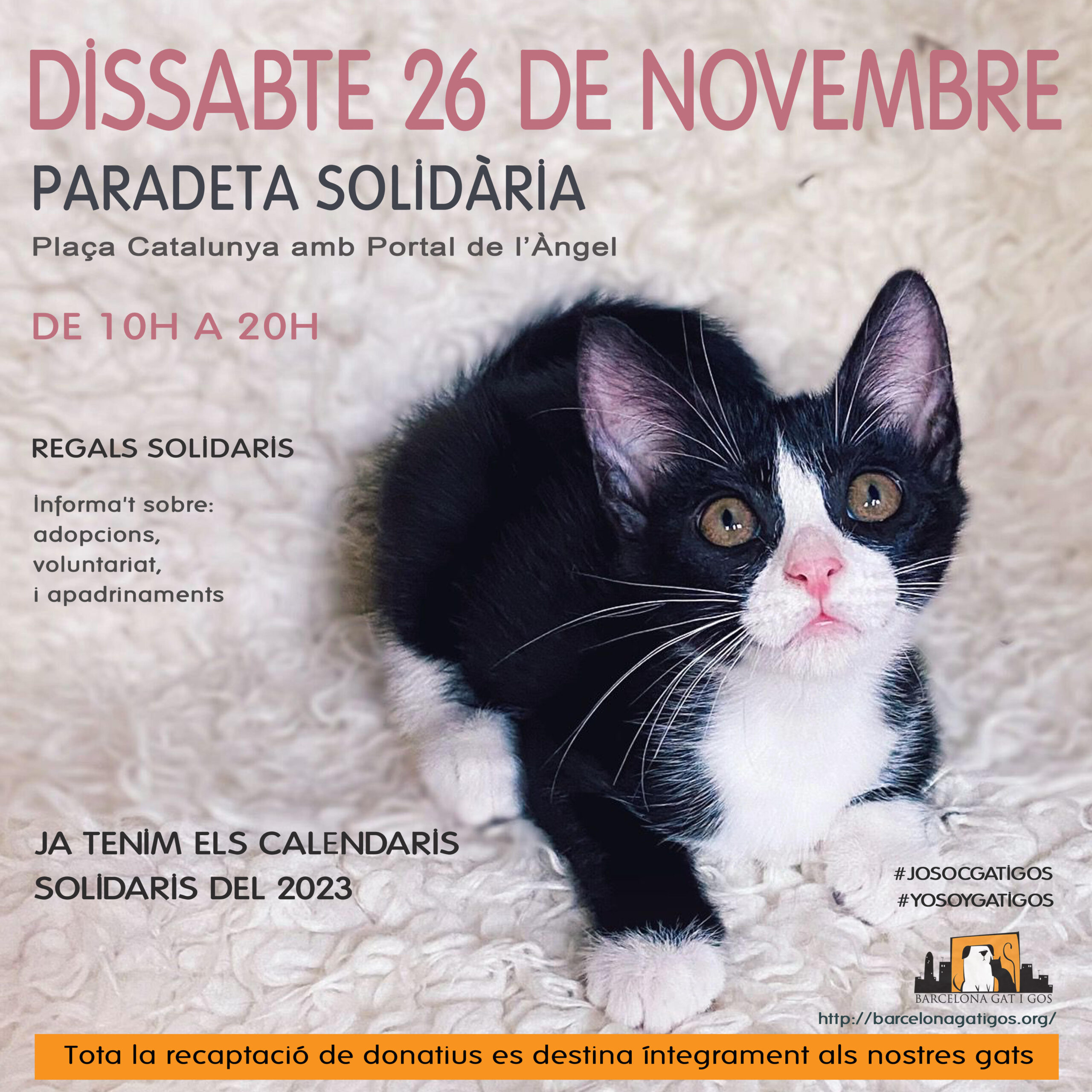 Paradeta 26 noviembre scaled