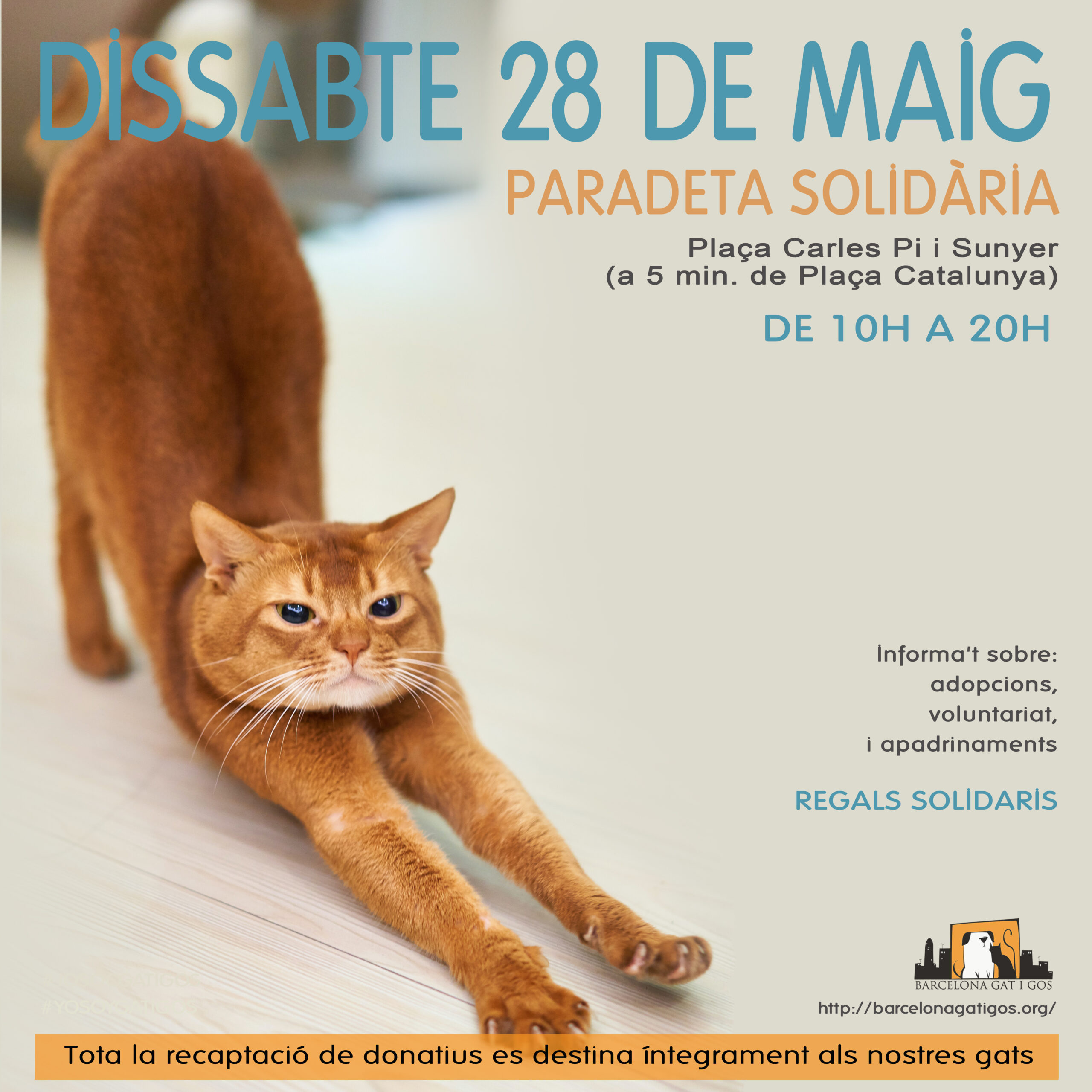 Paradeta 28 MAYO 2022 PI scaled