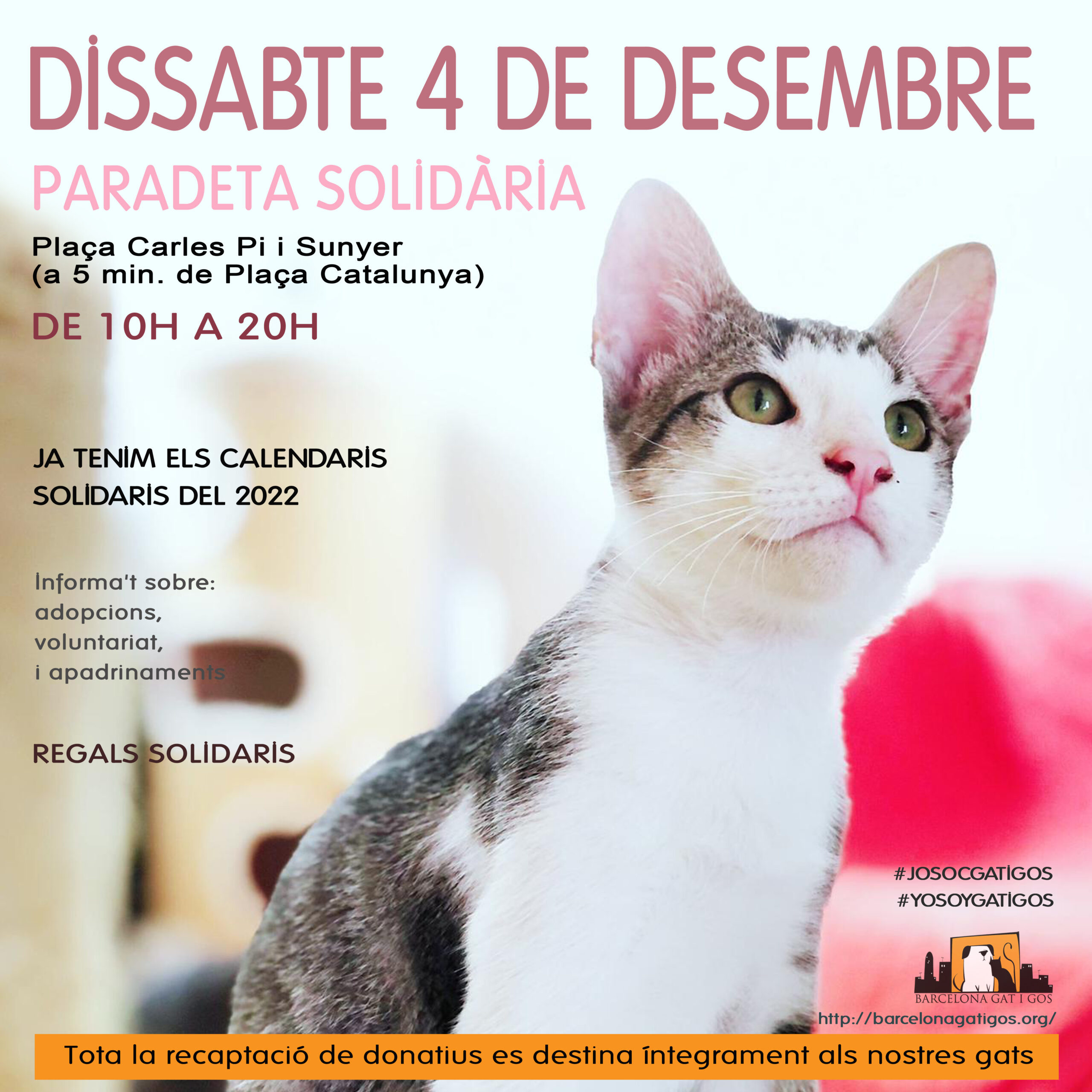 Paradeta 4 DICIEMBRE 2021 scaled