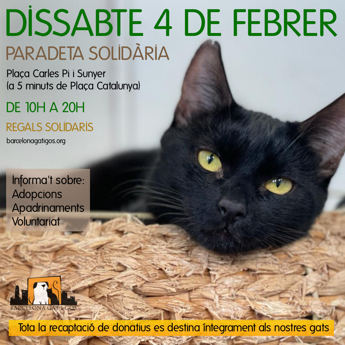 Paradeta 4 febrer
