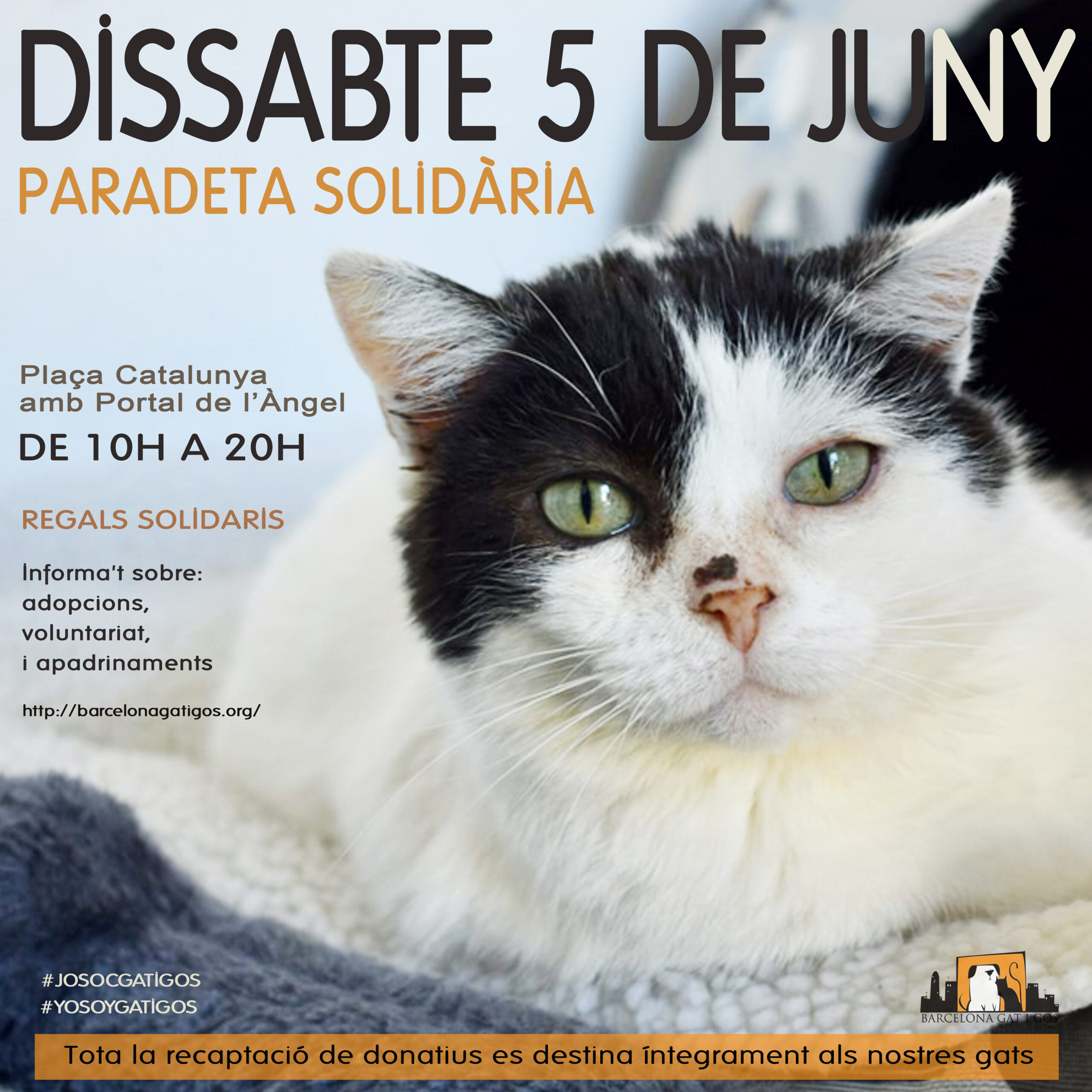 Paradeta 5 junio 2021 scaled