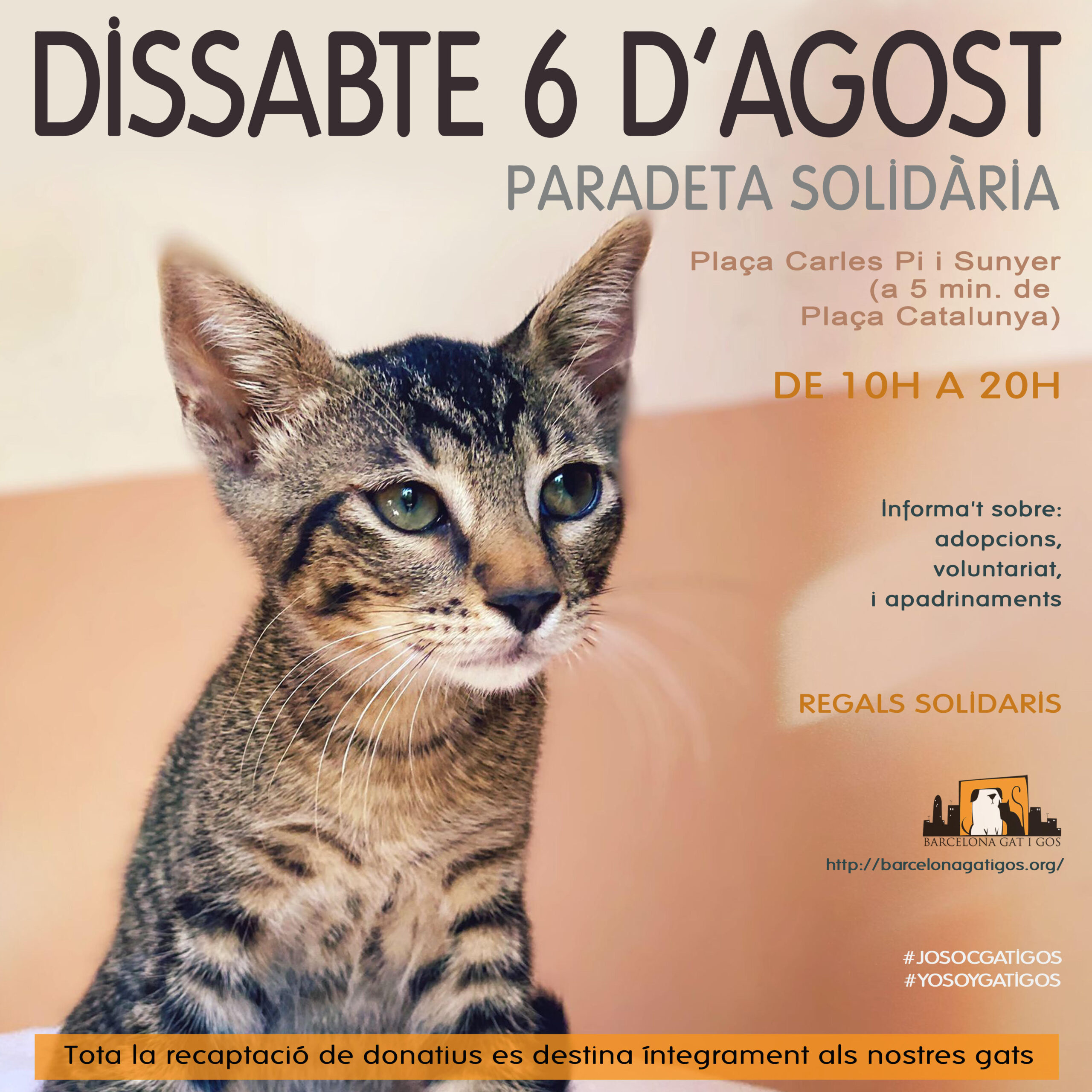Paradeta 6 agost scaled