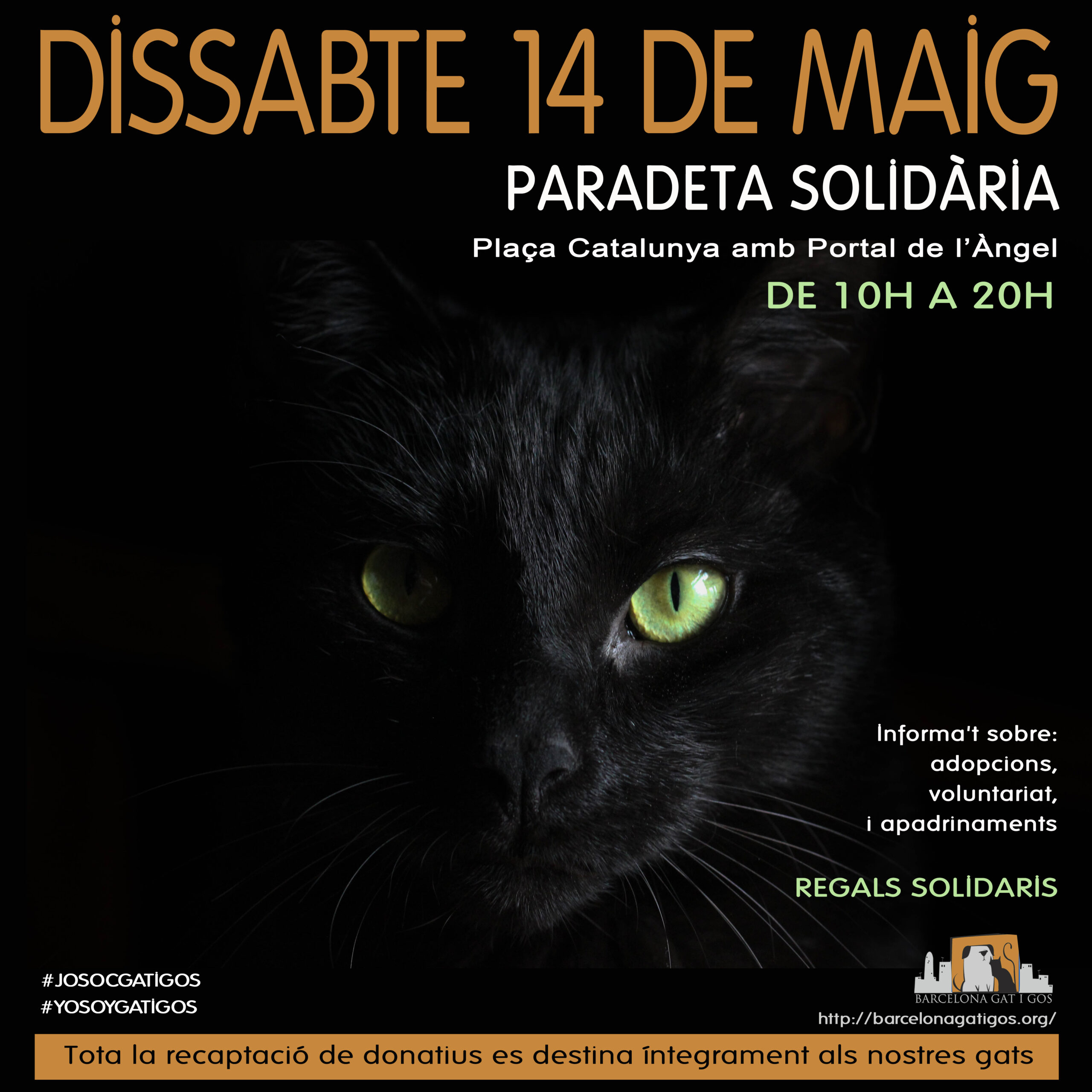 Paradeta 7 MAYO scaled