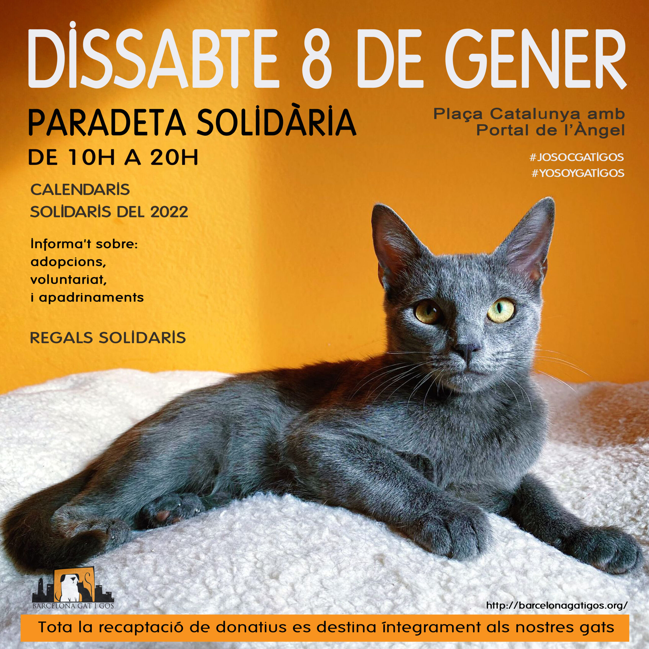 Paradeta 8 ENERO 2022 scaled