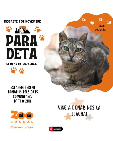 WhatsApp Image 2025 12 09 at 13.26.29 1