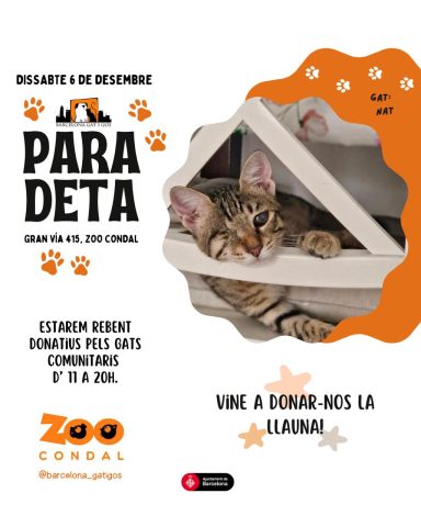 WhatsApp Image 2025 12 09 at 13.26.30