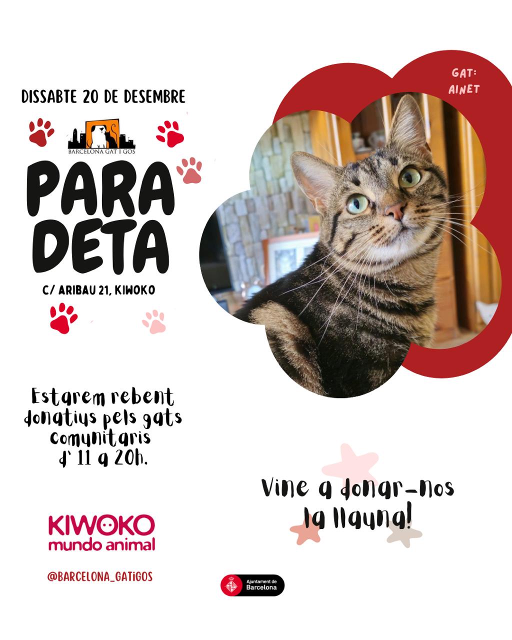 WhatsApp Image 2026 01 18 at 19.20.40 1