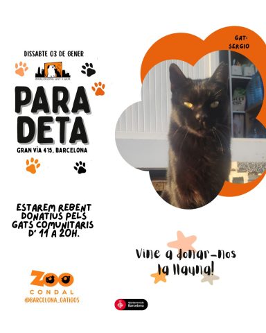 WhatsApp Image 2026 01 18 at 19.20.41 1