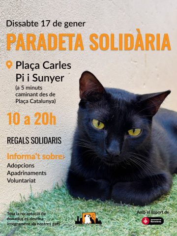 WhatsApp Image 2026 01 18 at 19.20.41 3