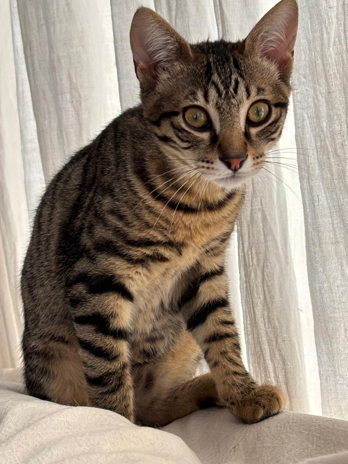 WhatsApp Image 2026 03 03 at 18.05.56 2