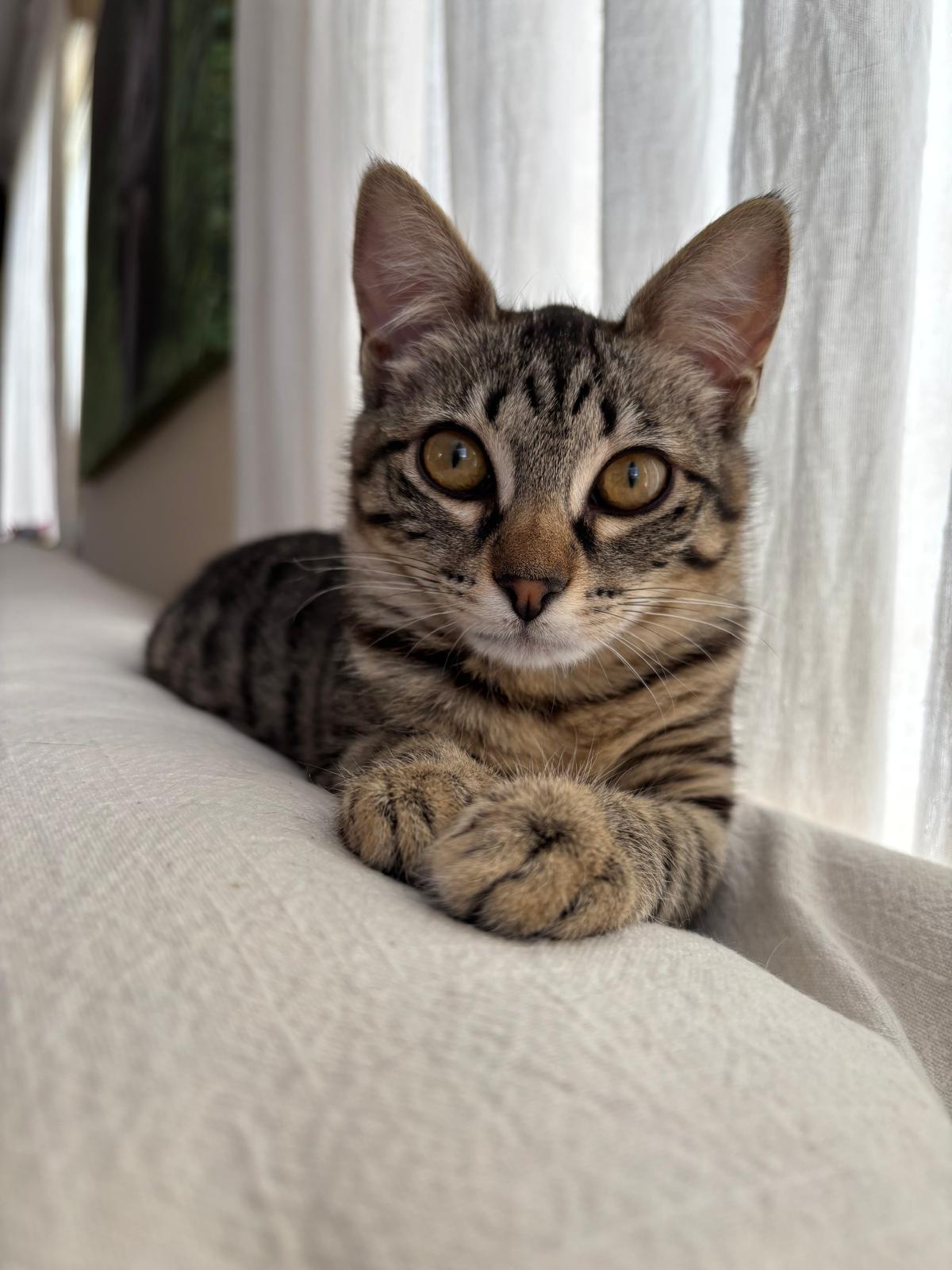 WhatsApp Image 2026 03 03 at 18.05.57 3