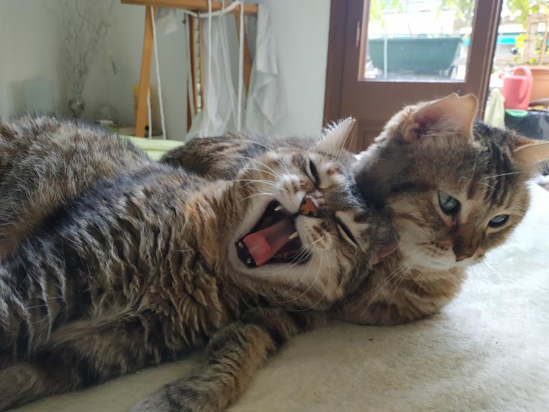 ¡Hidra y Cándida os desean buen verano a todos! 1 a 323 1594059008
