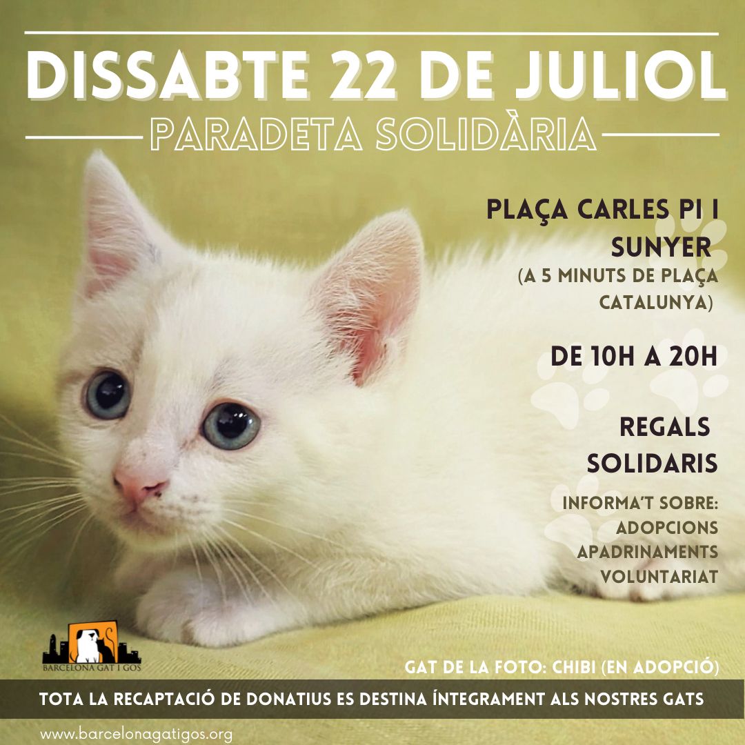 Paradeta solidaria