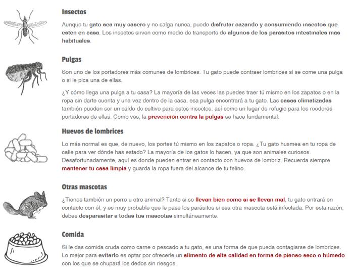 parasitos