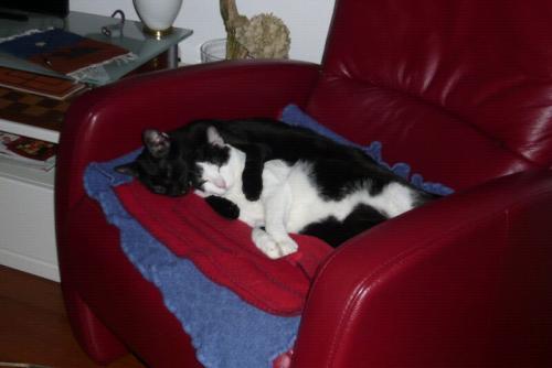 thor y micky